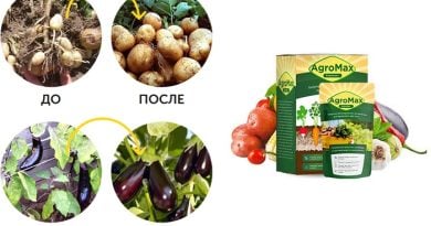 AGROMAX биоудобение: лучшее средство для получения роскошного урожая на зависть соседям!