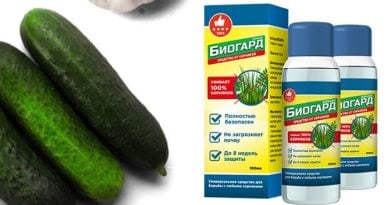 БиоГард биогербицид защита от сорняков: всего одно опрыскивание на весь сезон!