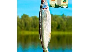 Fish Drive – новая приманка для ловли рыбы