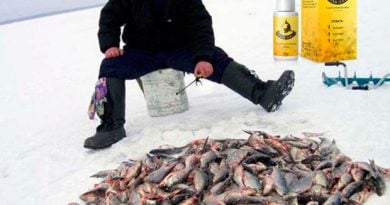 Fish XXL – густой спрей-активатор для зимней рыбалки.