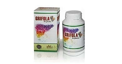 Grifola для борьбы с болезнями печени и ожирением органов: мощное гепатопротекторное средство на натуральной основе!