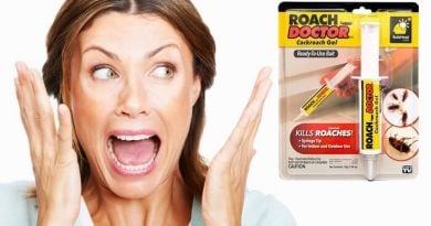 Roach Doctor от тараканов: содержит вирус и любимую еду насекомых!