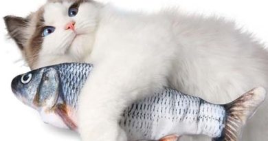 Движущаяся игрушка Tiny Tuna (рыба) для кошек, отзывы