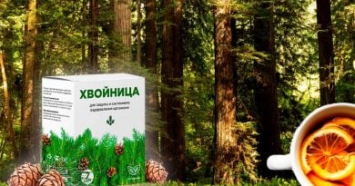 Как повысить свой иммунитет. Хвойница