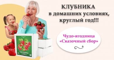 Чудо ягодница Сказочный сбор
