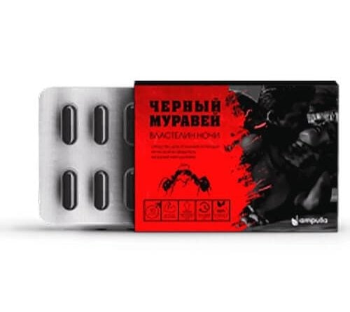 Черный муравей